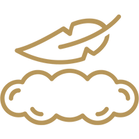 Feature icon